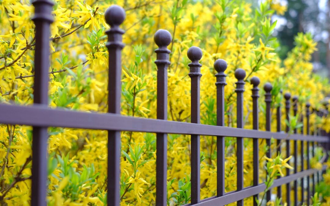 Choosing the Right Material for Your Custom Fence in Edmonton